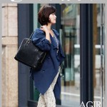 アジール・キャリアブリーフ